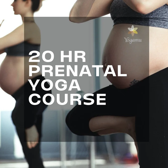 Prenatal Yoga 20 HR Course (YACEP) - Image 2